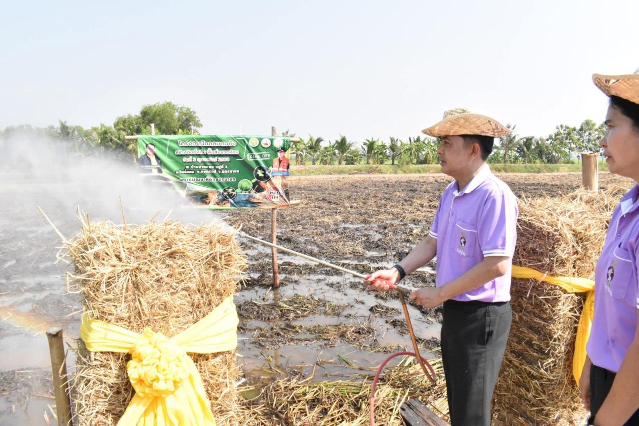 ภาพประกอบที่ 8