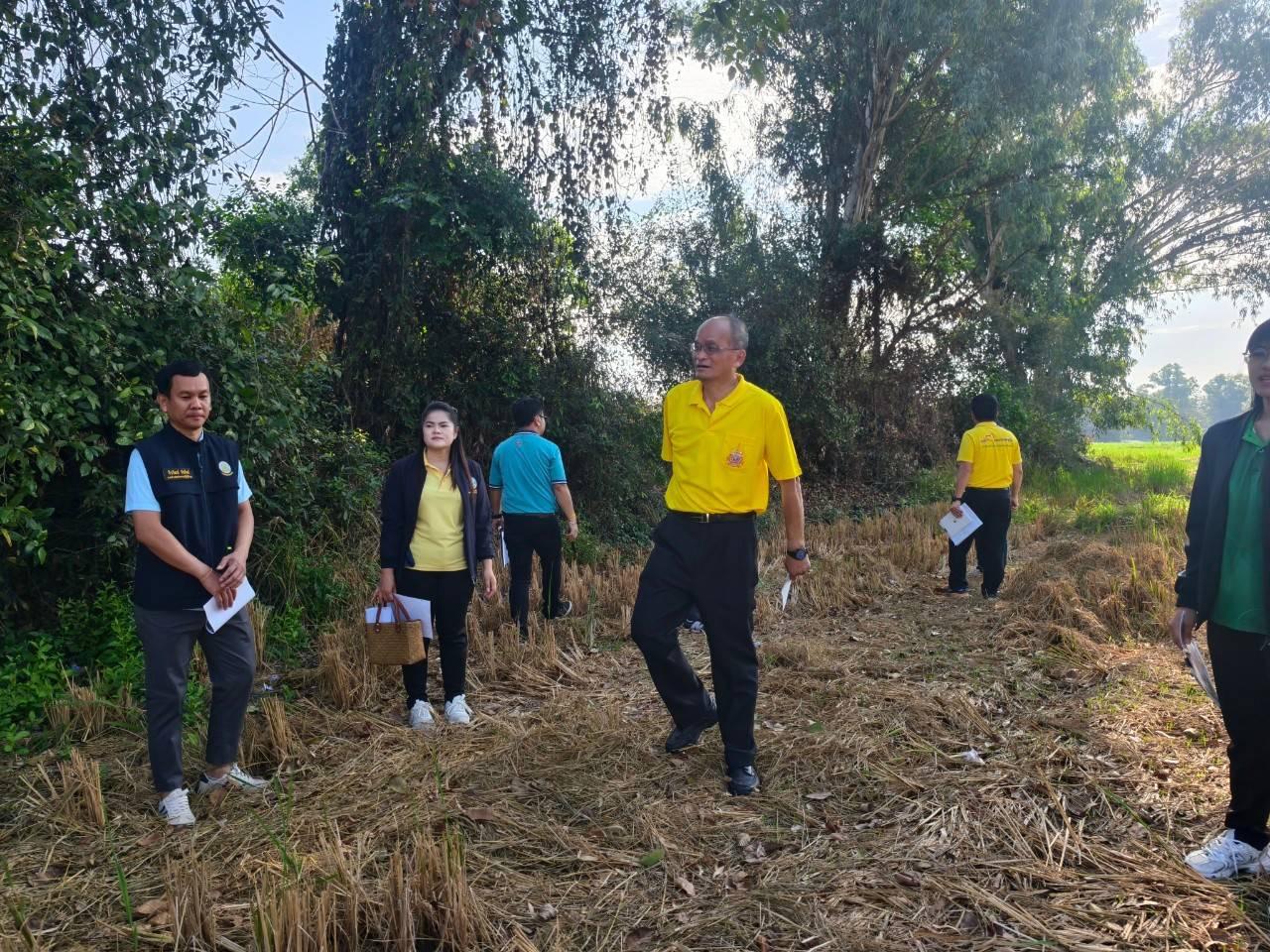 ภาพประกอบที่ 2