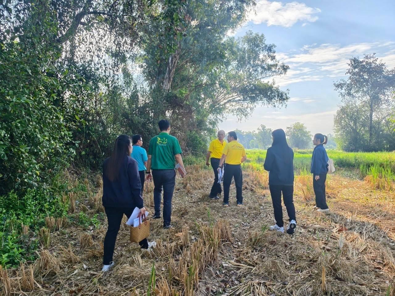 ภาพประกอบที่ 4