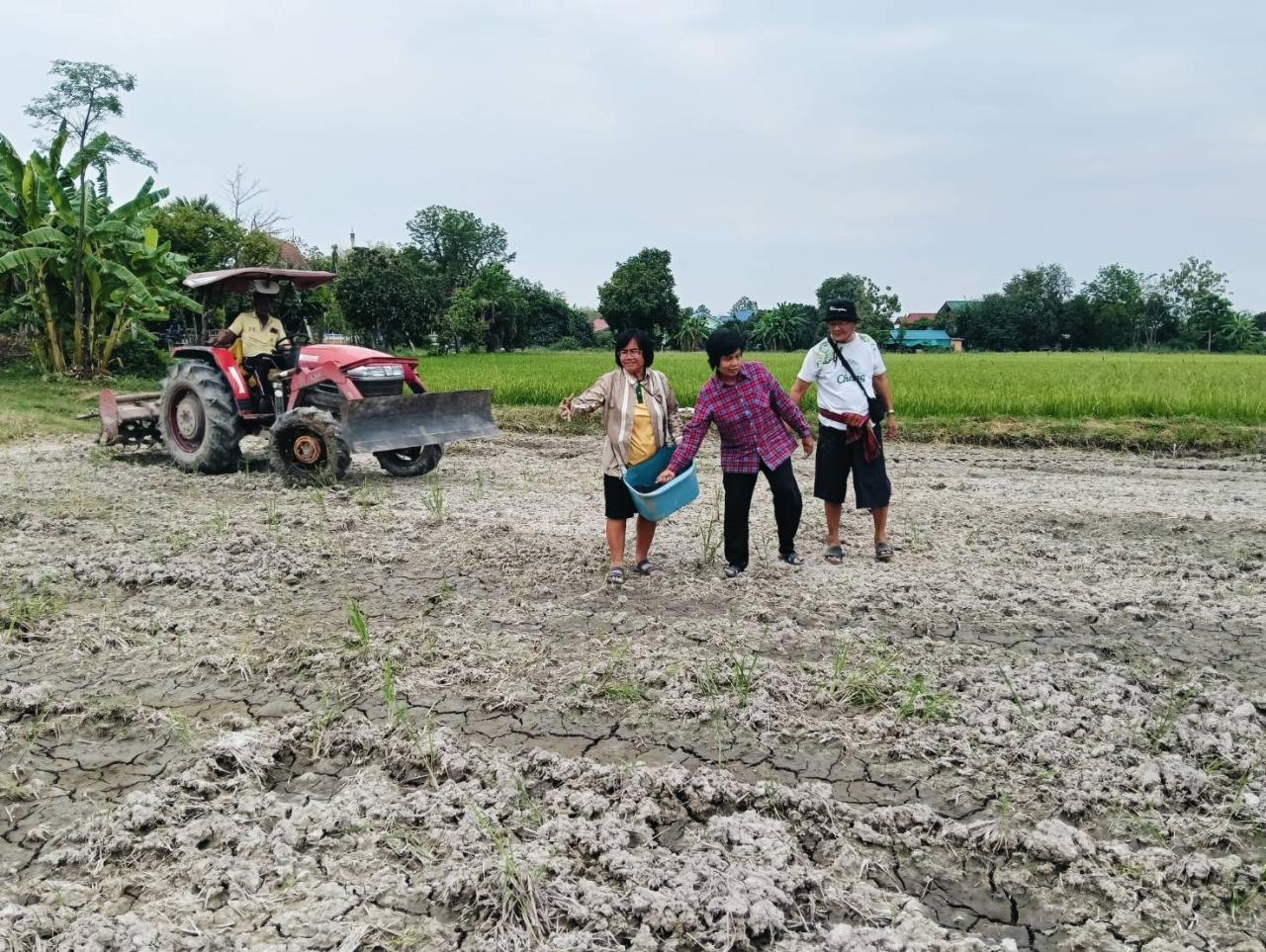 ภาพประกอบที่ 6