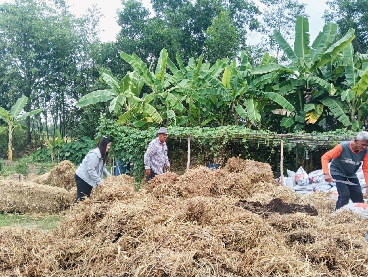 ภาพประกอบที่ 7