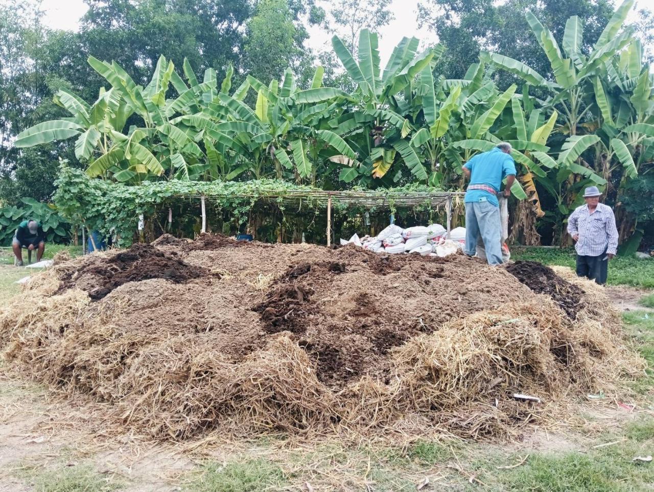 ภาพประกอบที่ 8