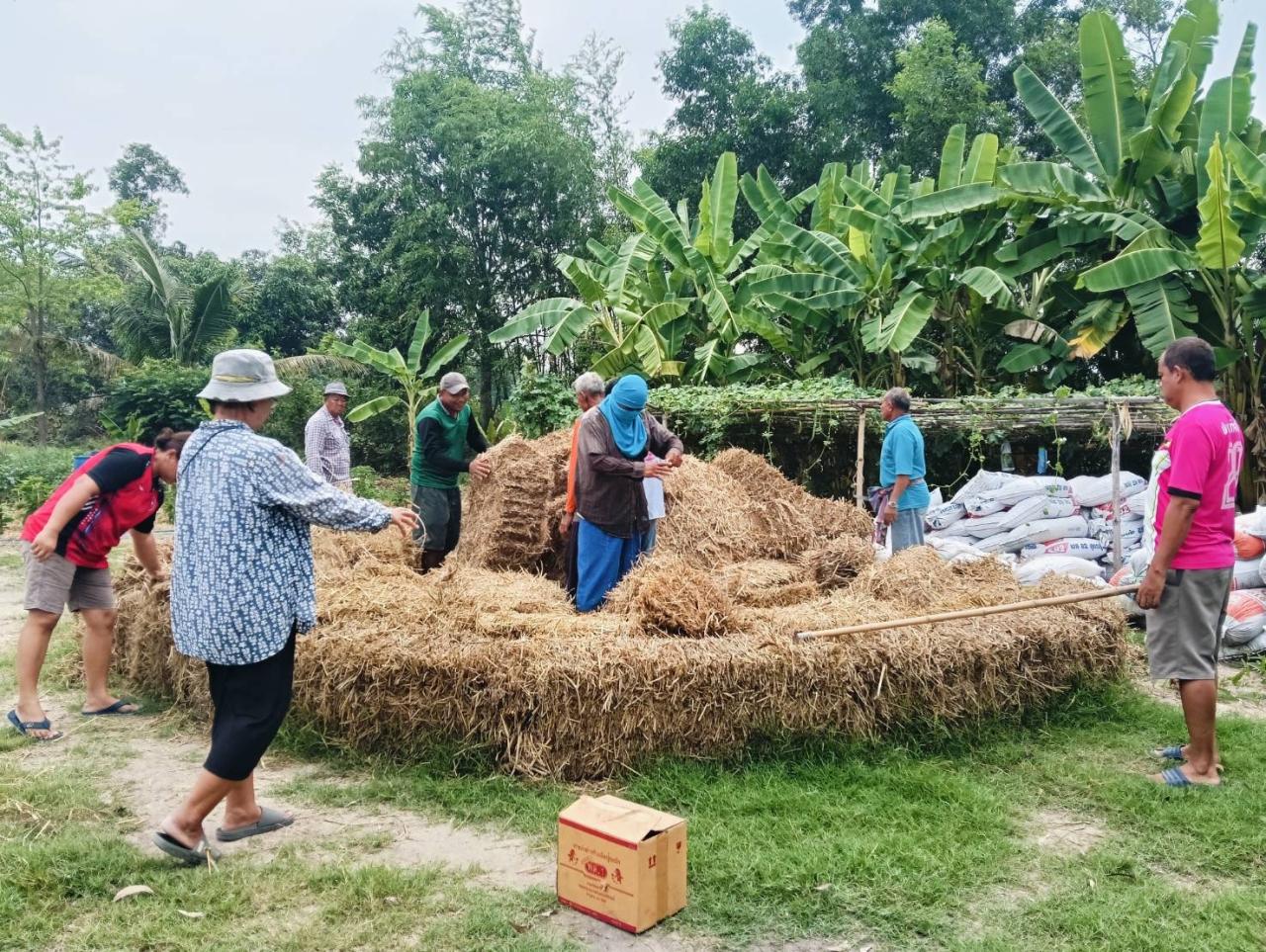 ภาพประกอบที่ 10