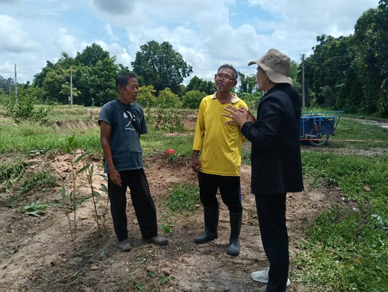 ภาพประกอบที่ 1