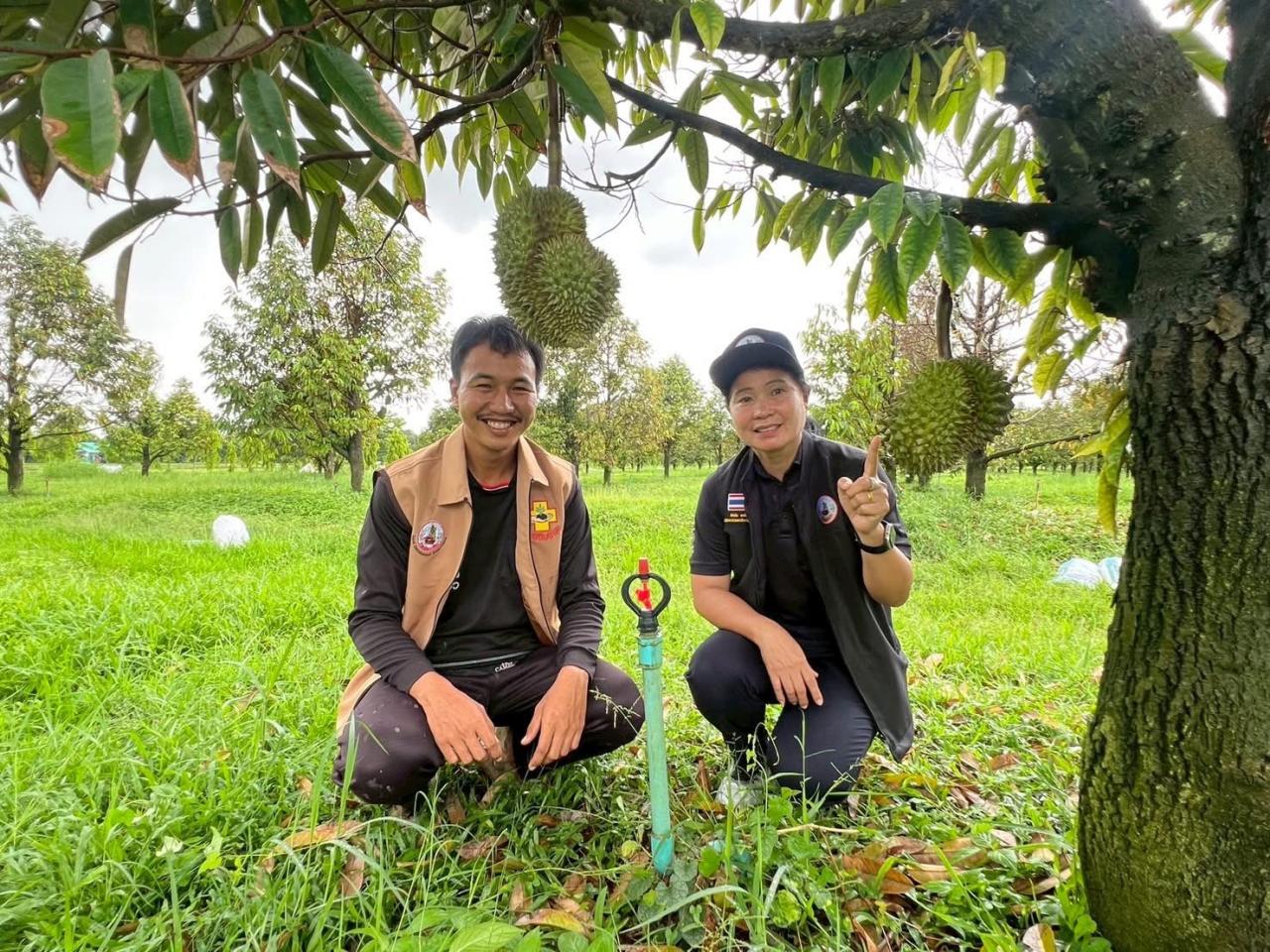 ภาพประกอบที่ 2