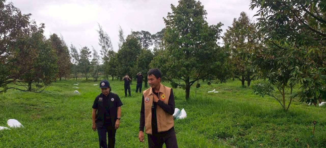 ภาพประกอบที่ 3