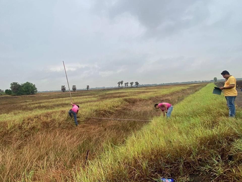 ภาพประกอบที่ 1