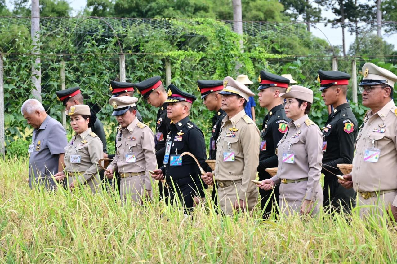 ภาพประกอบที่ 3