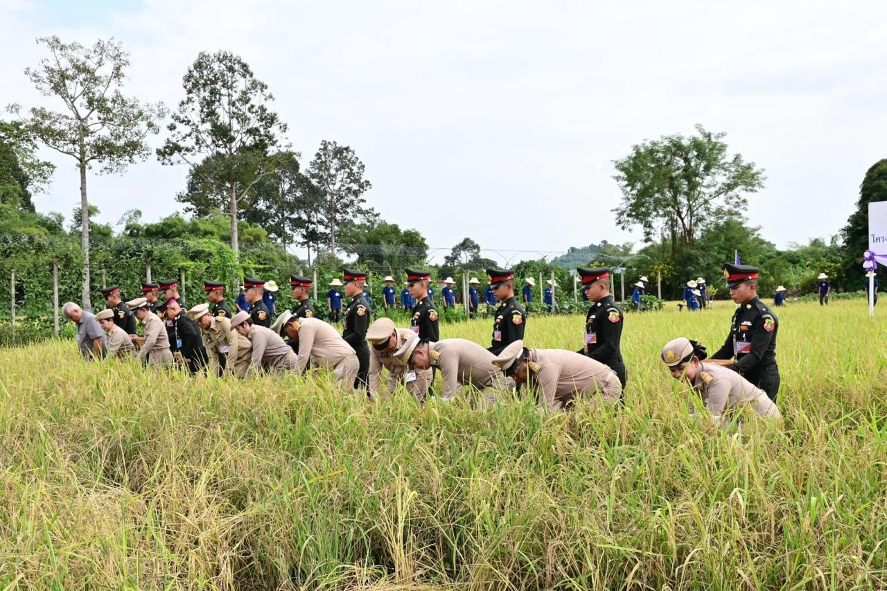 ภาพประกอบที่ 4