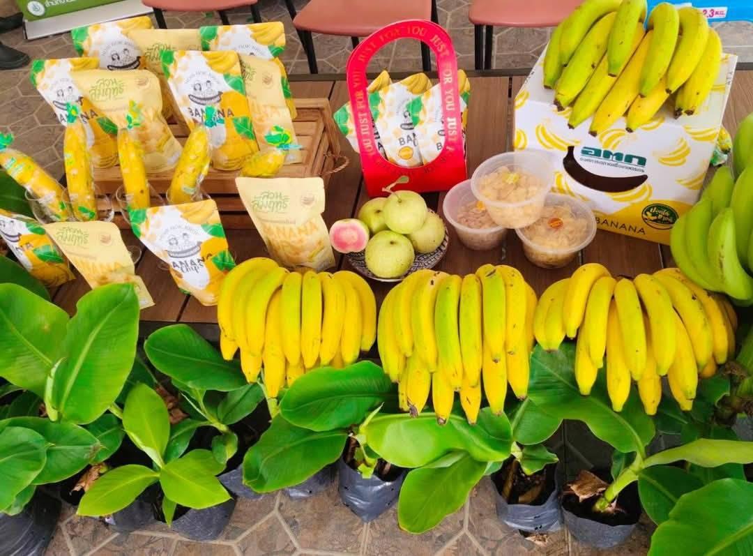 ภาพประกอบที่ 3