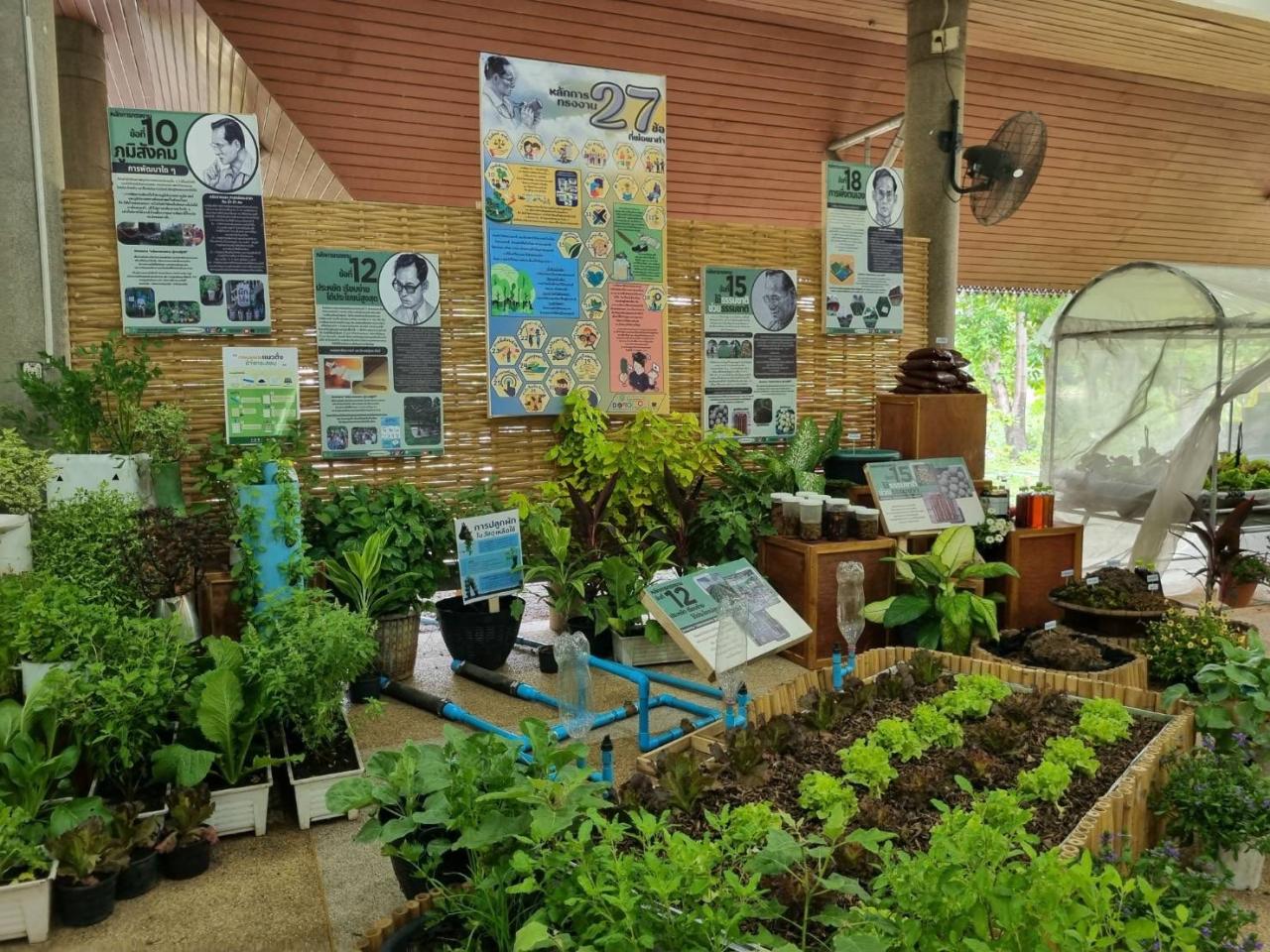 ภาพประกอบที่ 2