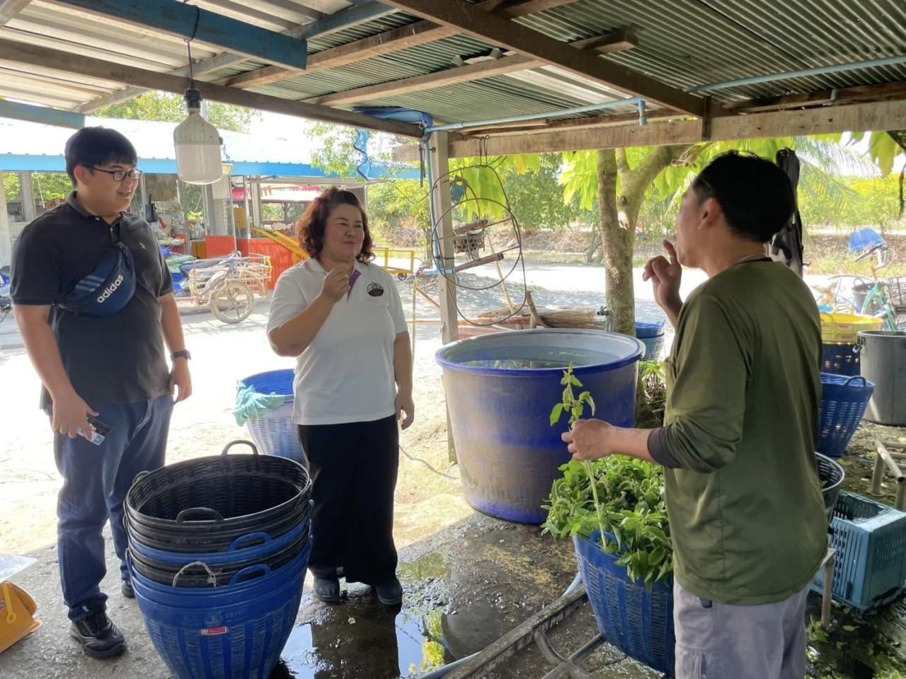 ภาพประกอบที่ 0