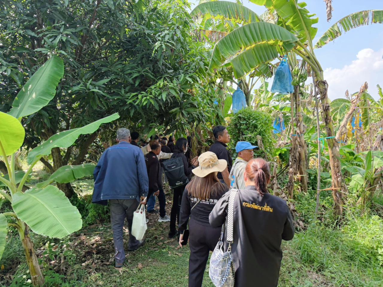 ภาพประกอบที่ 5