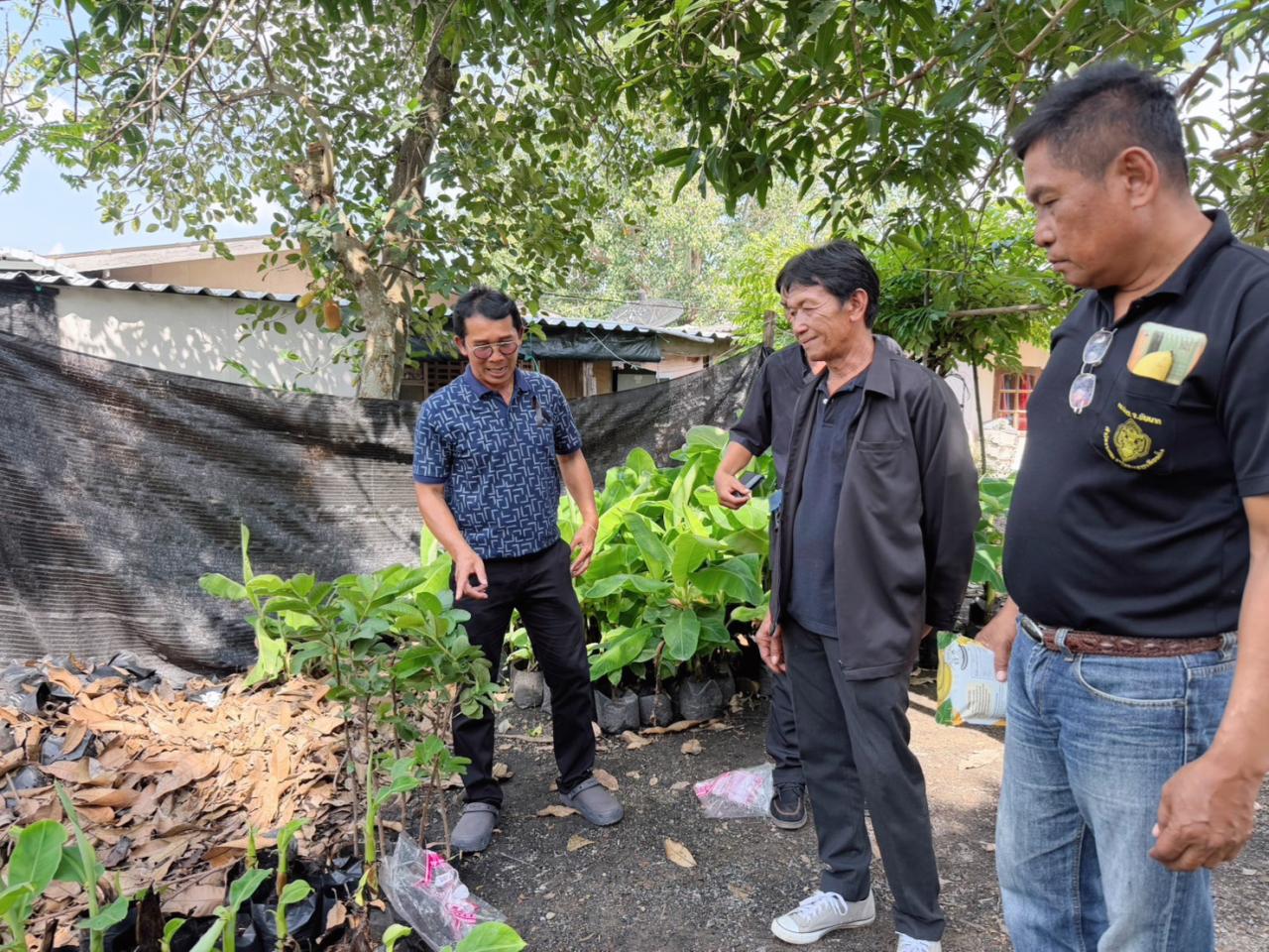 ภาพประกอบที่ 3