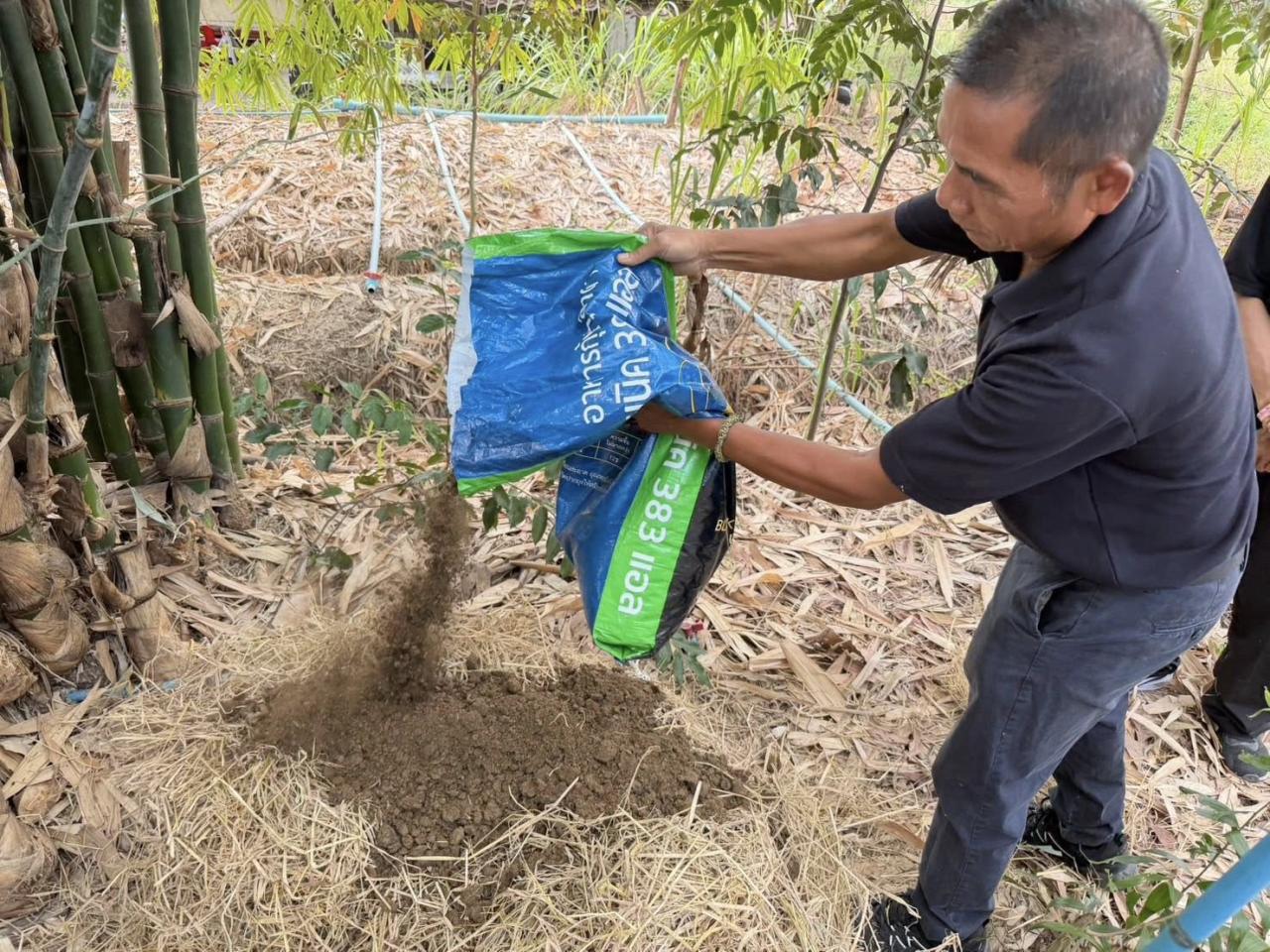 ภาพประกอบที่ 3