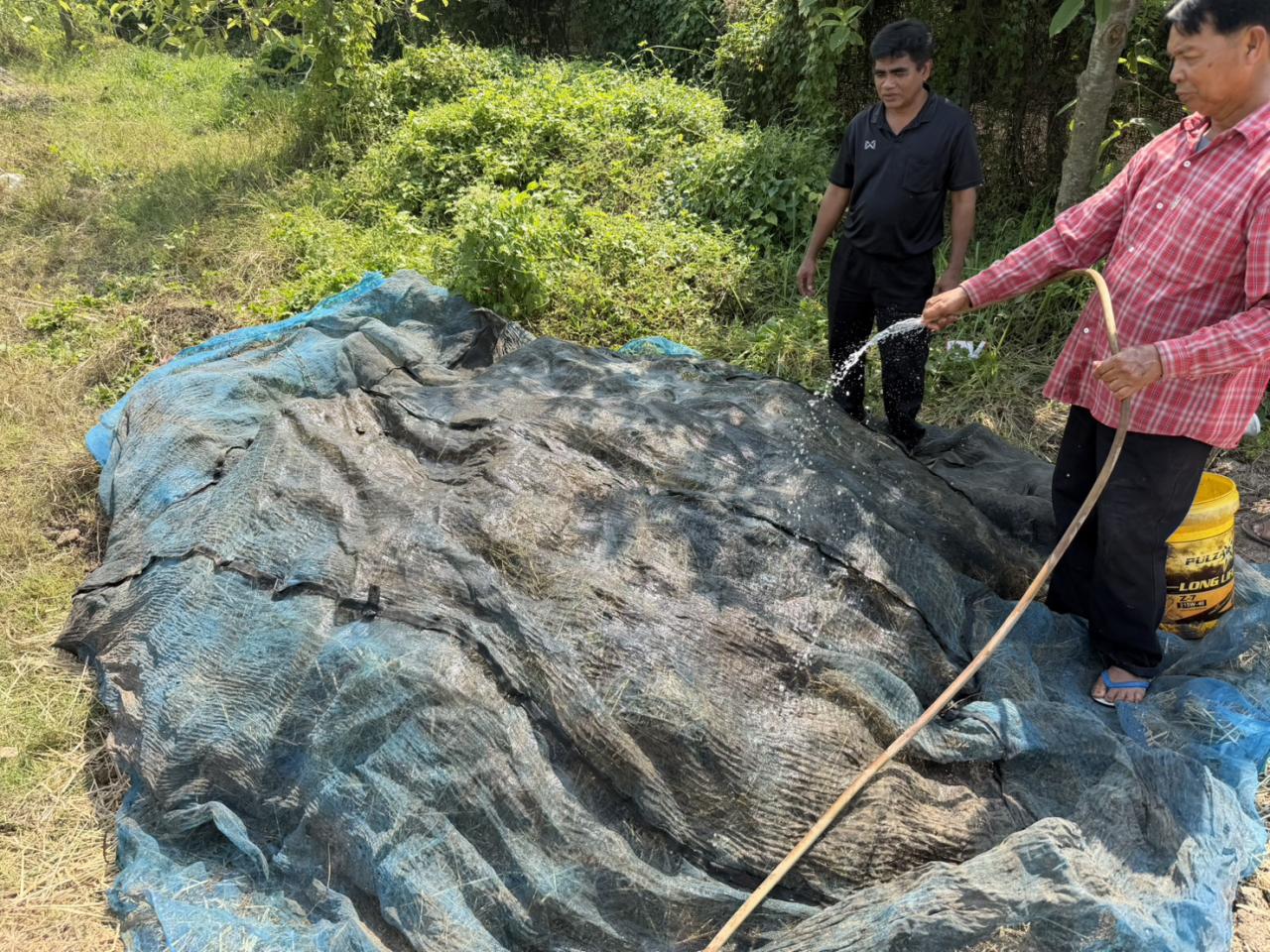 ภาพประกอบที่ 4