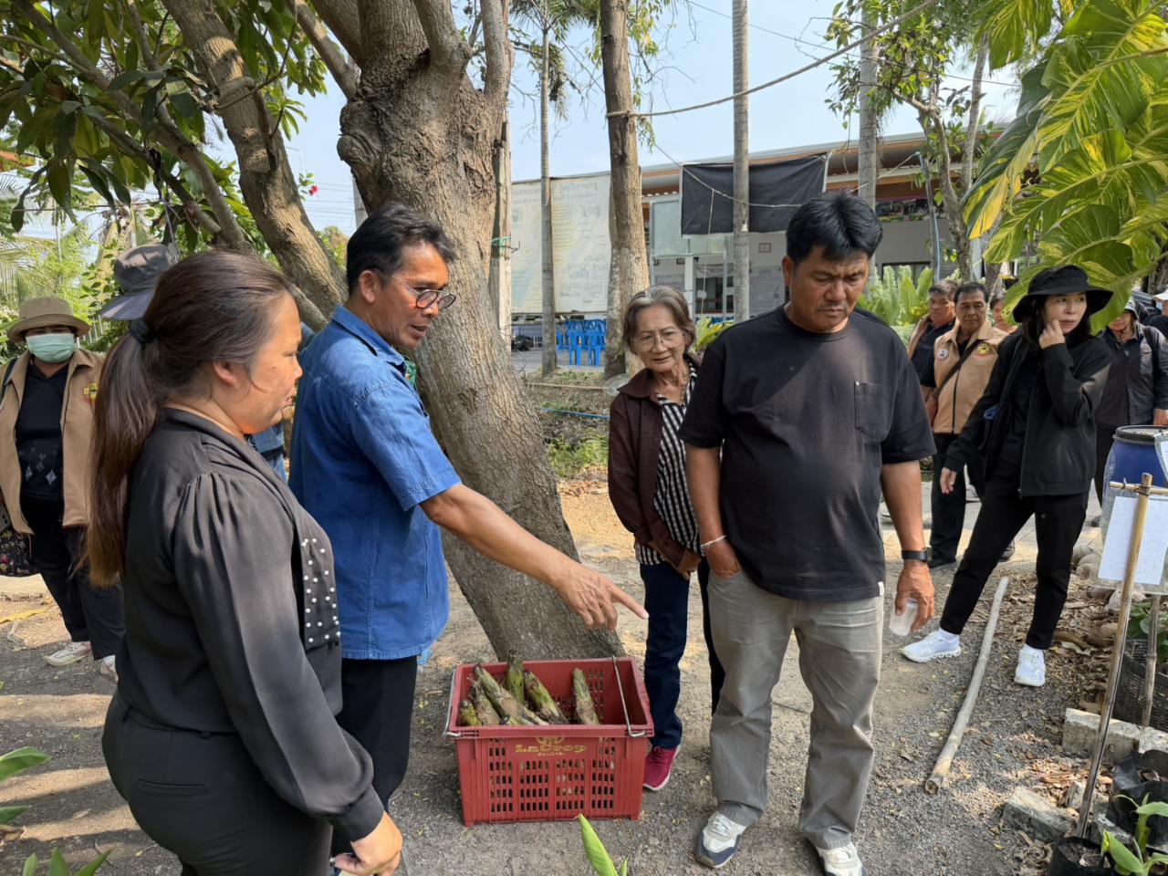 ภาพประกอบที่ 6