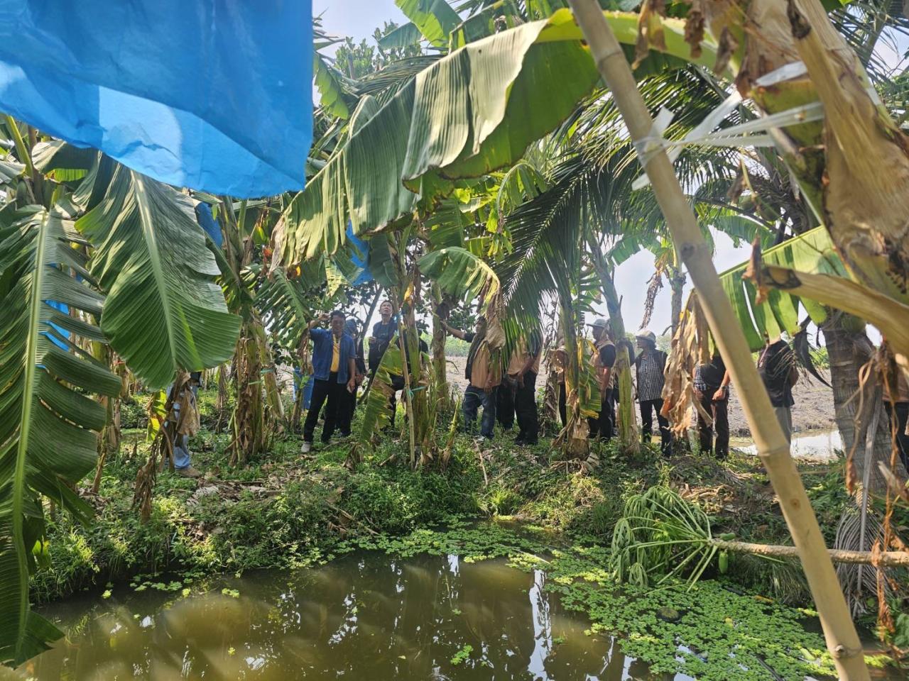 ภาพประกอบที่ 5