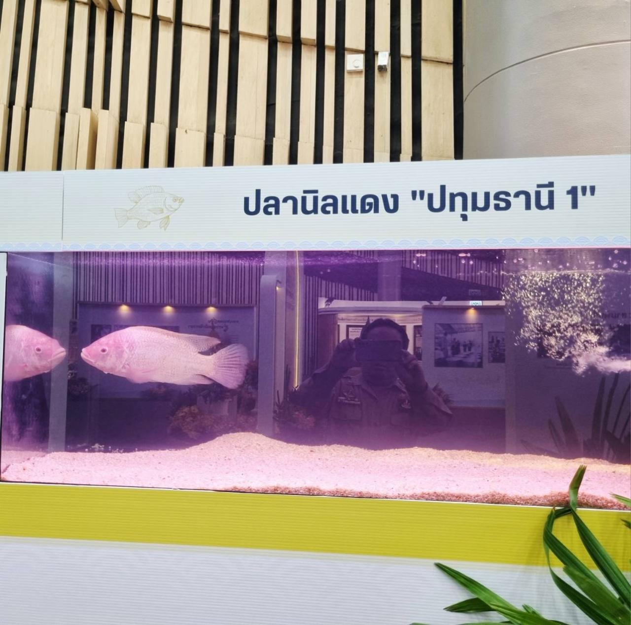 ภาพประกอบที่ 6