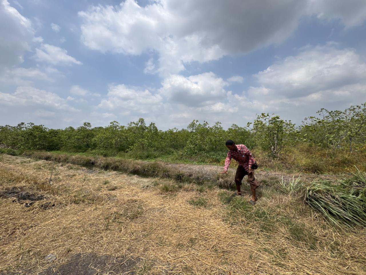 ภาพประกอบที่ 6