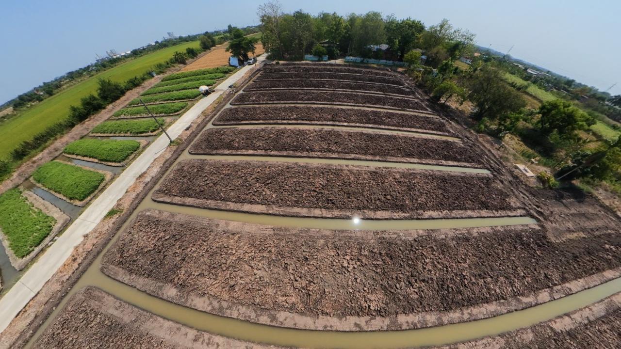 ภาพประกอบที่ 0