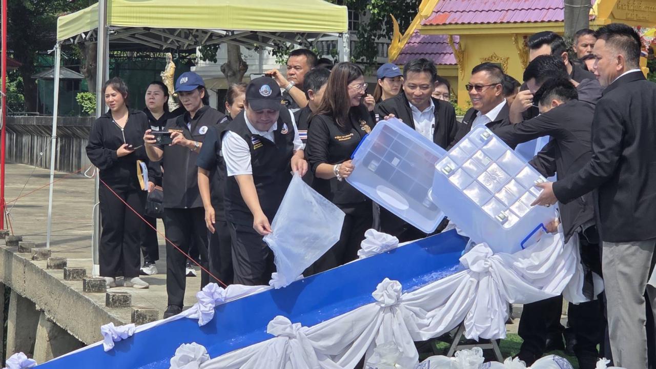 ภาพประกอบที่ 9
