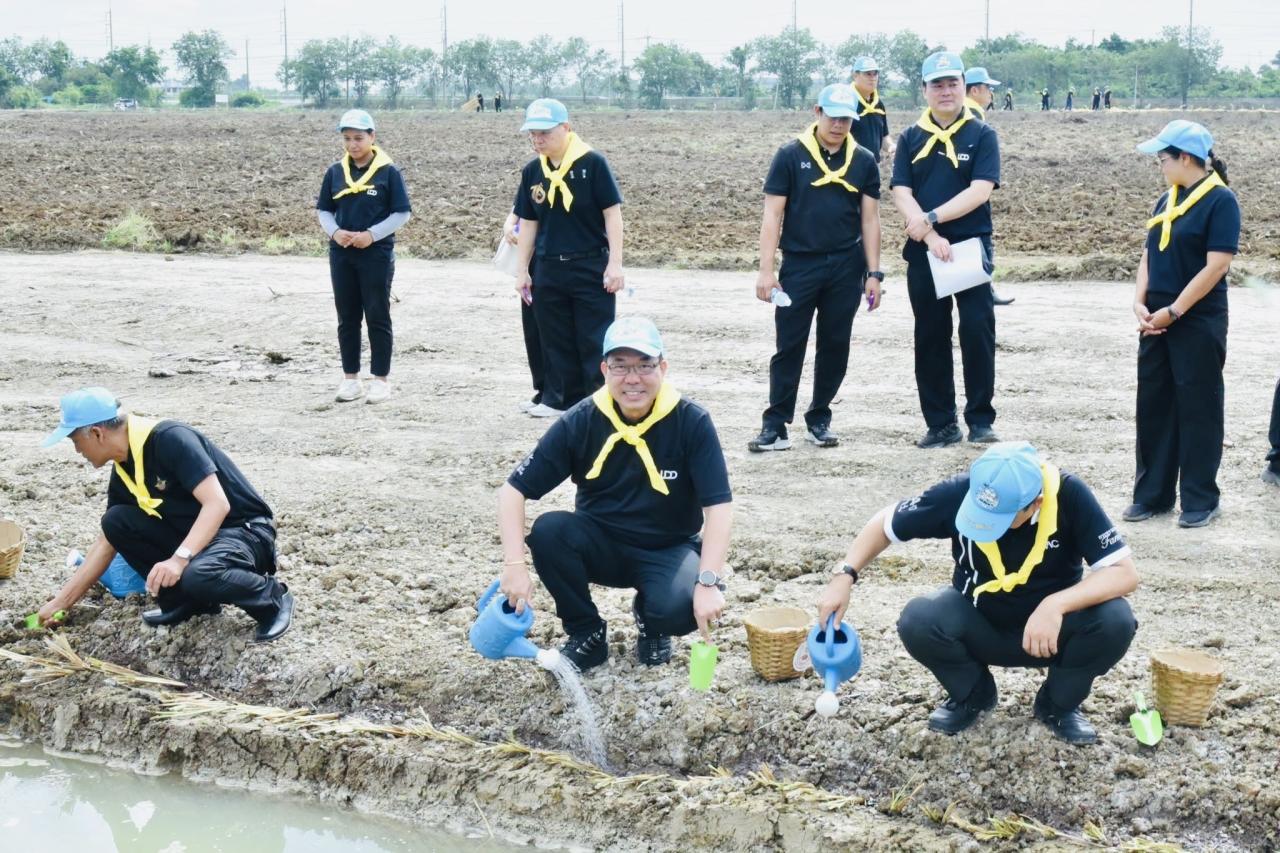 ภาพประกอบที่ 8
