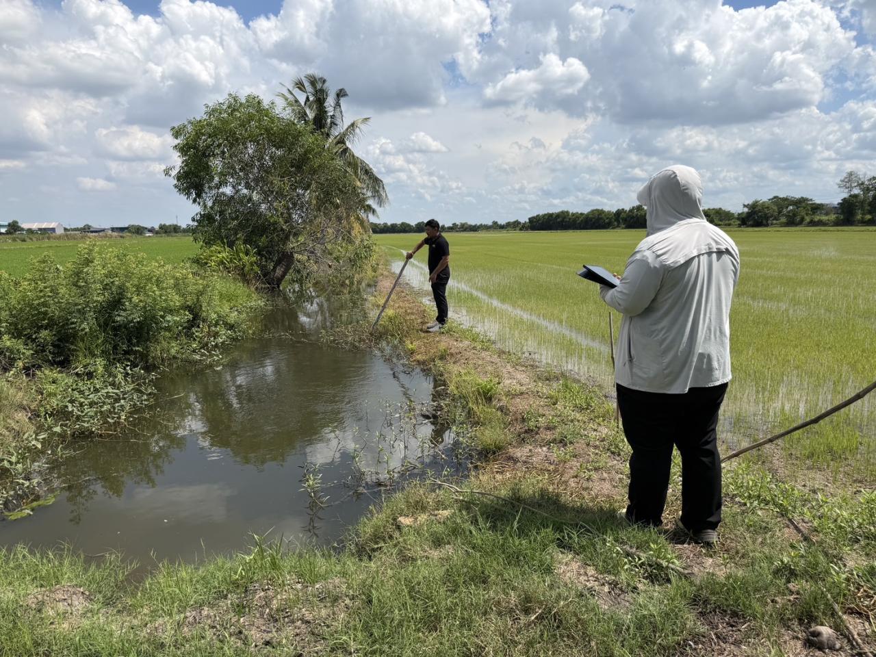 ภาพประกอบที่ 3