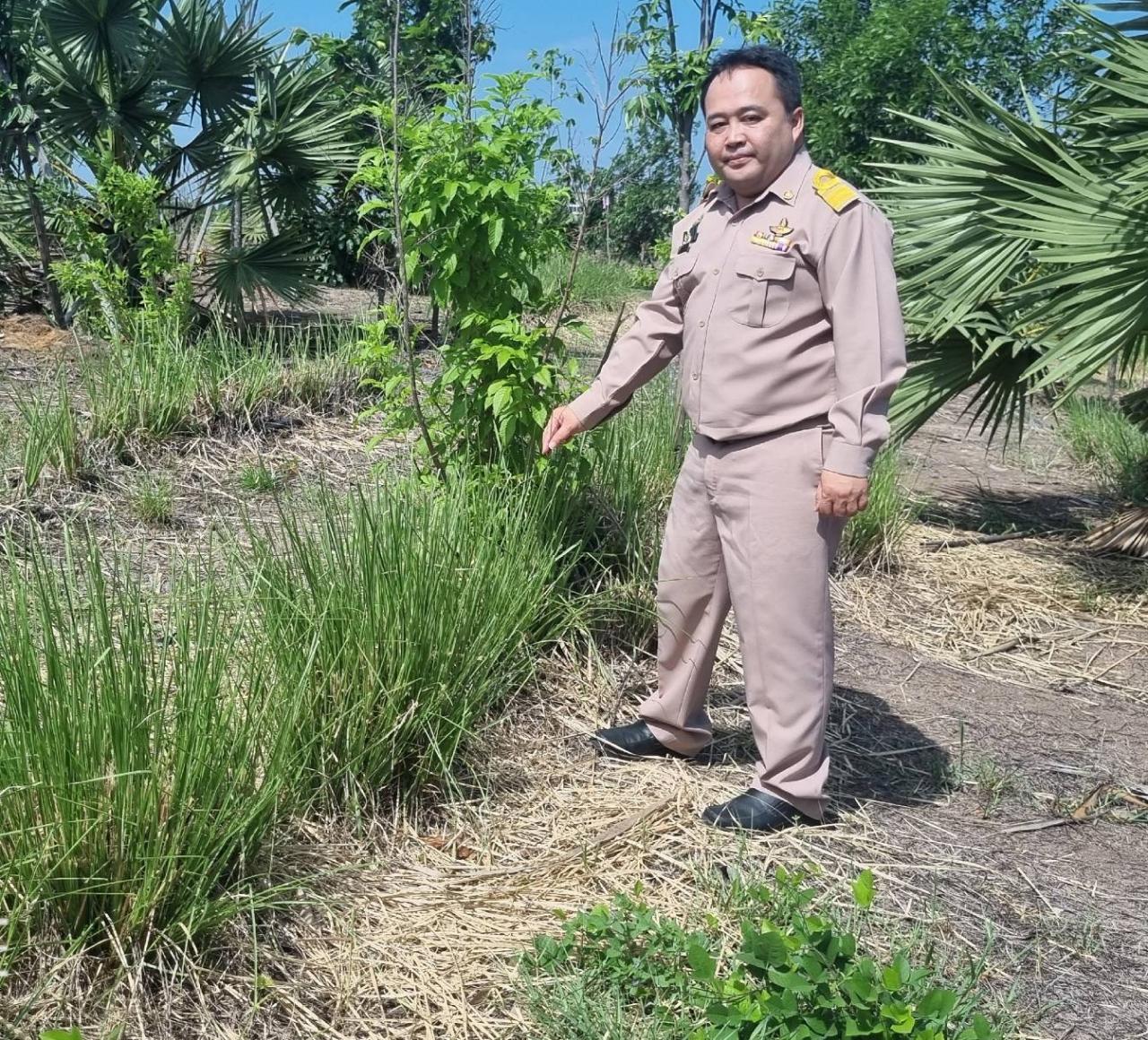 ภาพประกอบที่ 3