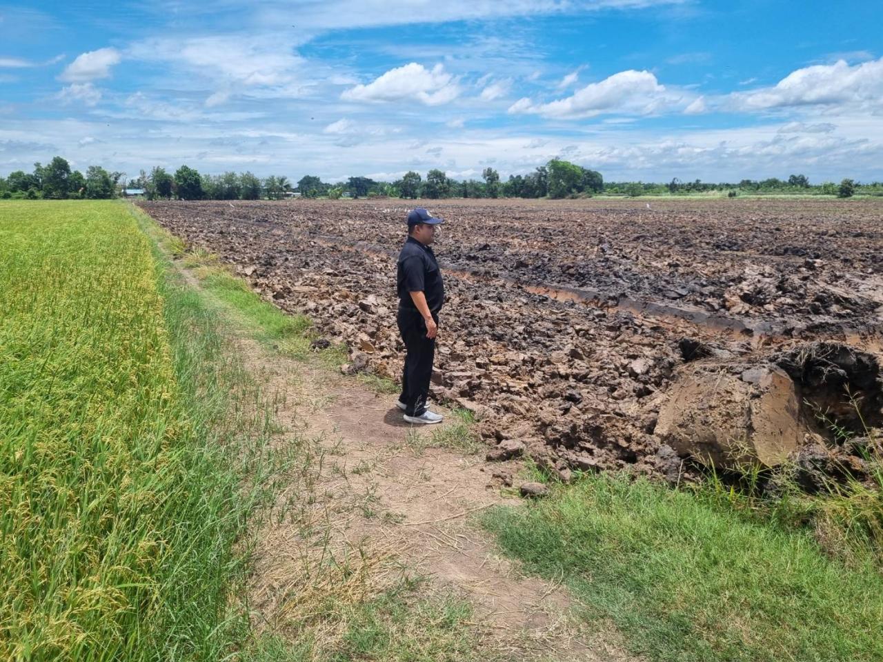 ภาพประกอบที่ 1