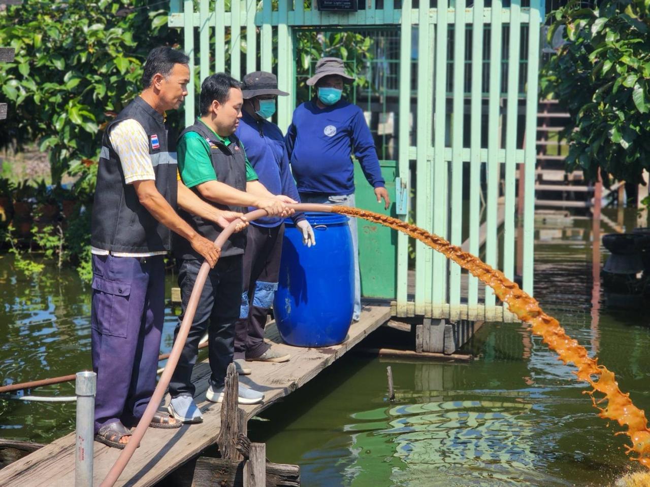 ภาพประกอบที่ 4