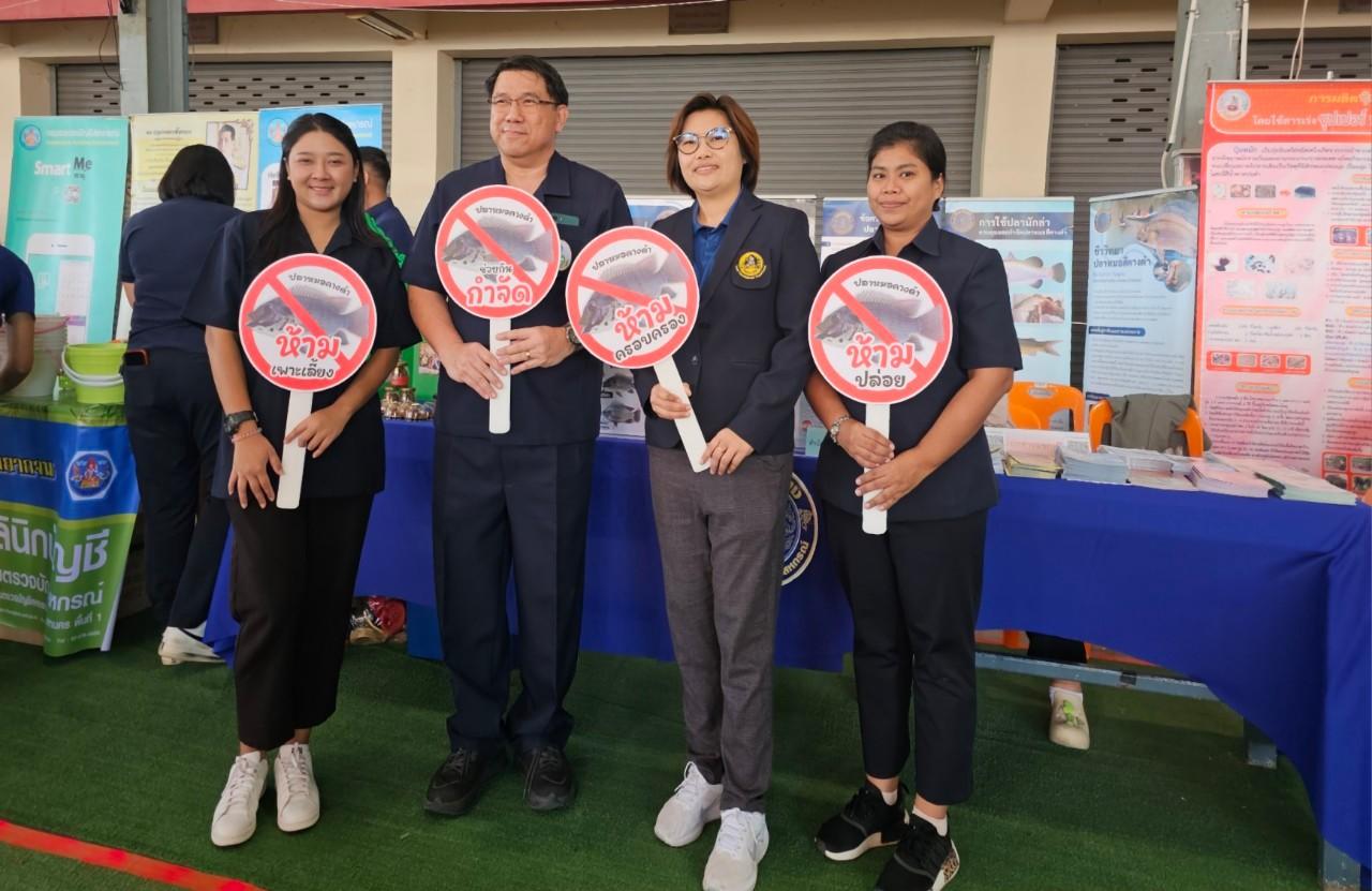 ภาพประกอบที่ 3