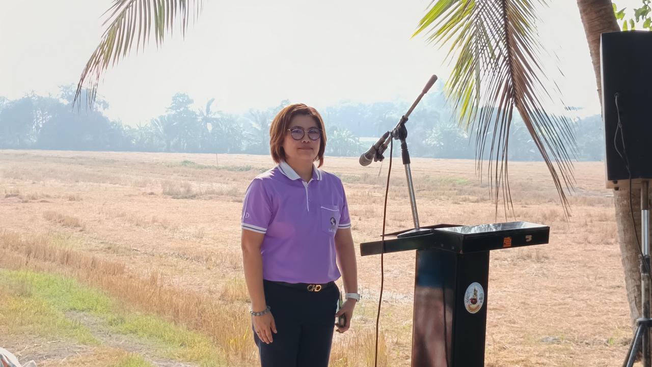 ภาพประกอบที่ 2