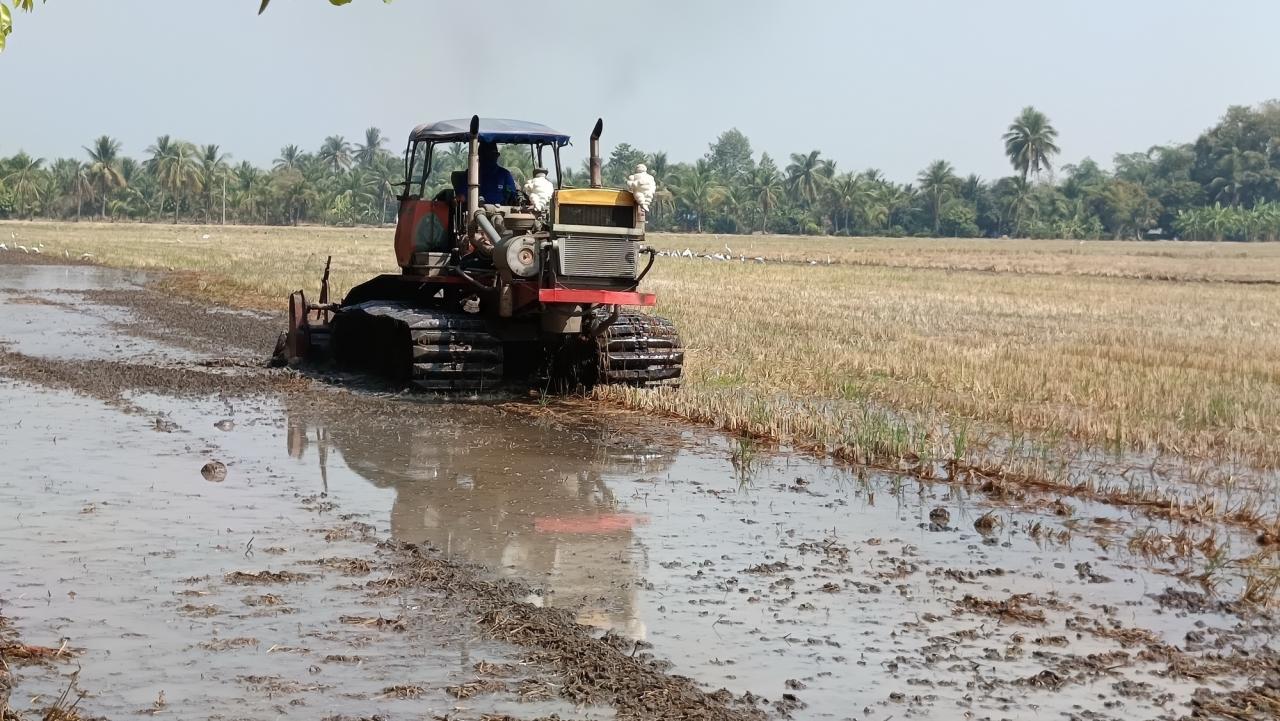 ภาพประกอบที่ 8