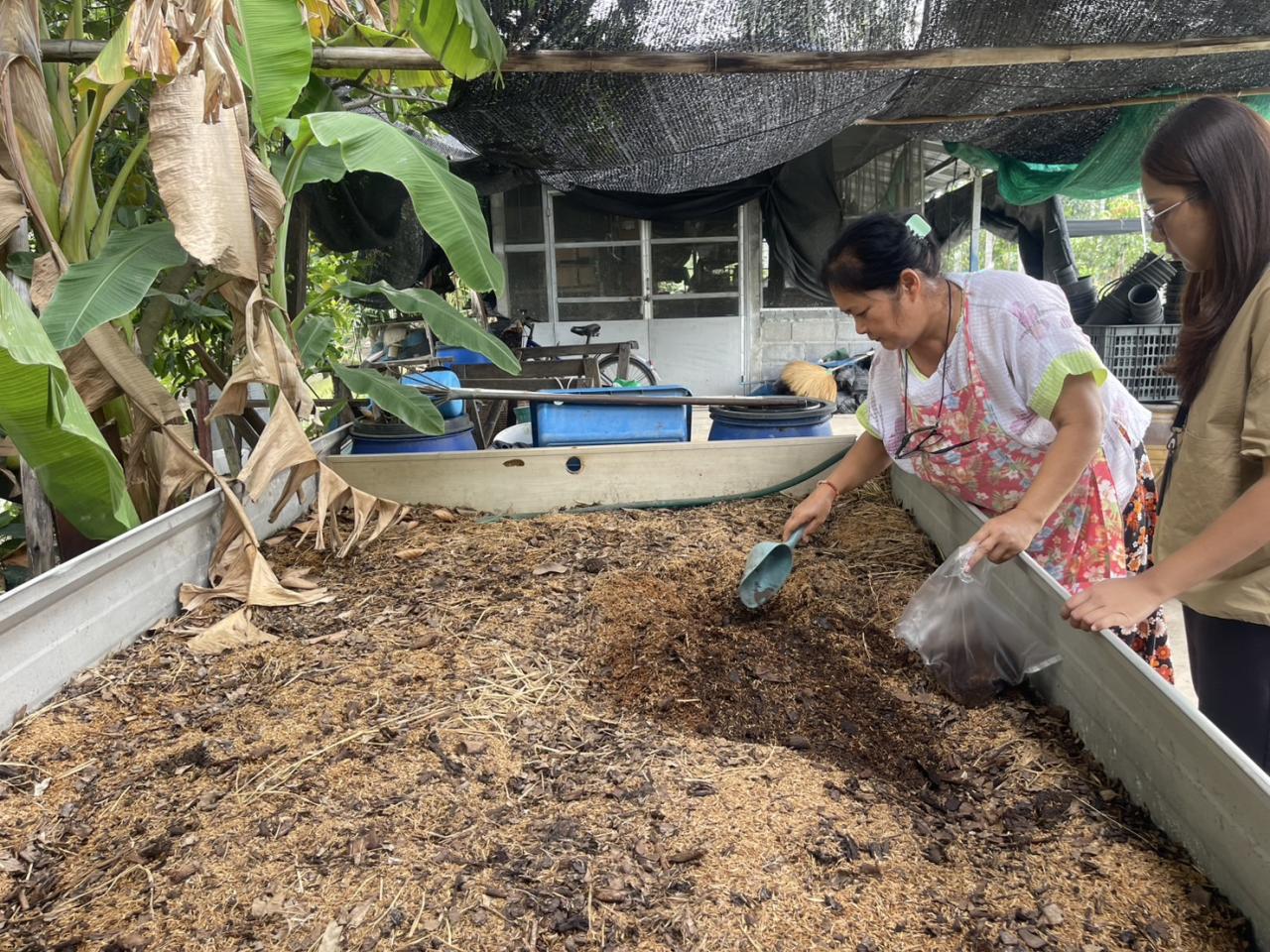 ภาพประกอบที่ 2