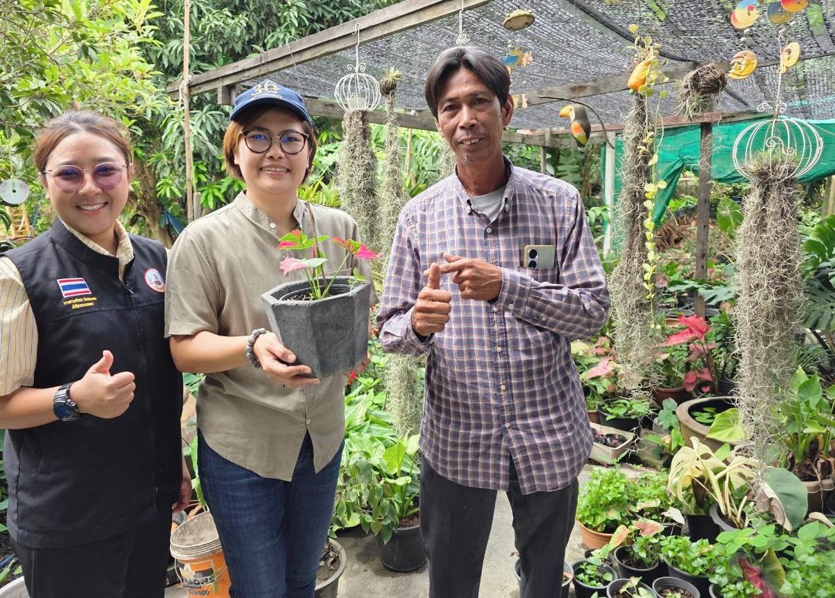 ภาพประกอบที่ 0