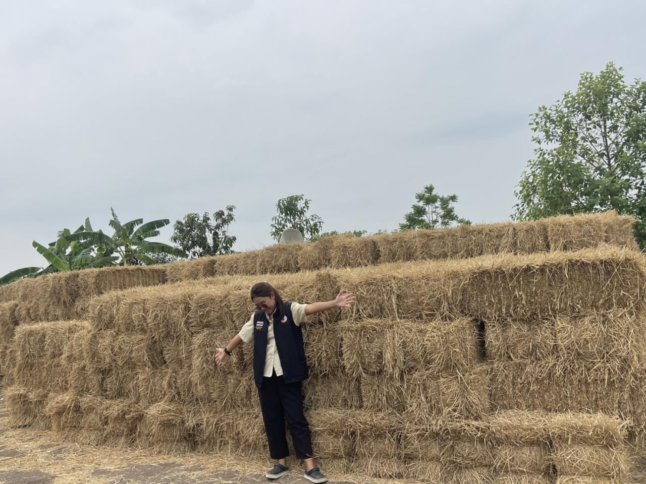 ภาพประกอบที่ 0