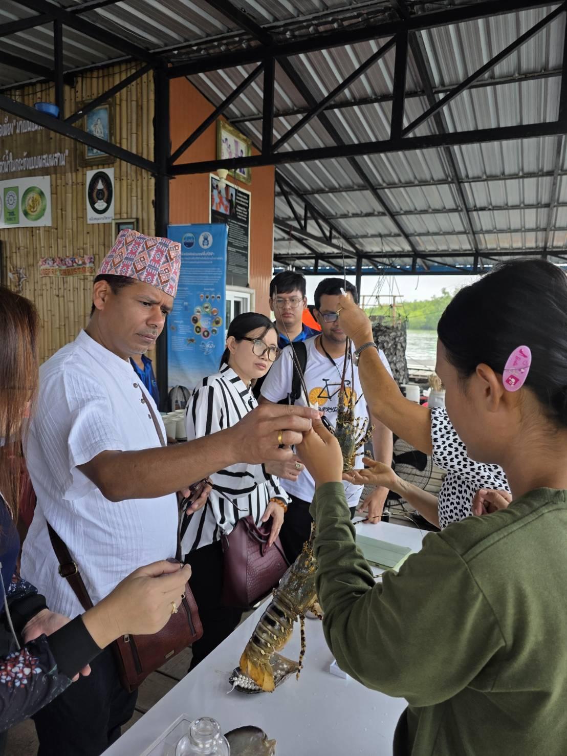ภาพประกอบที่ 4