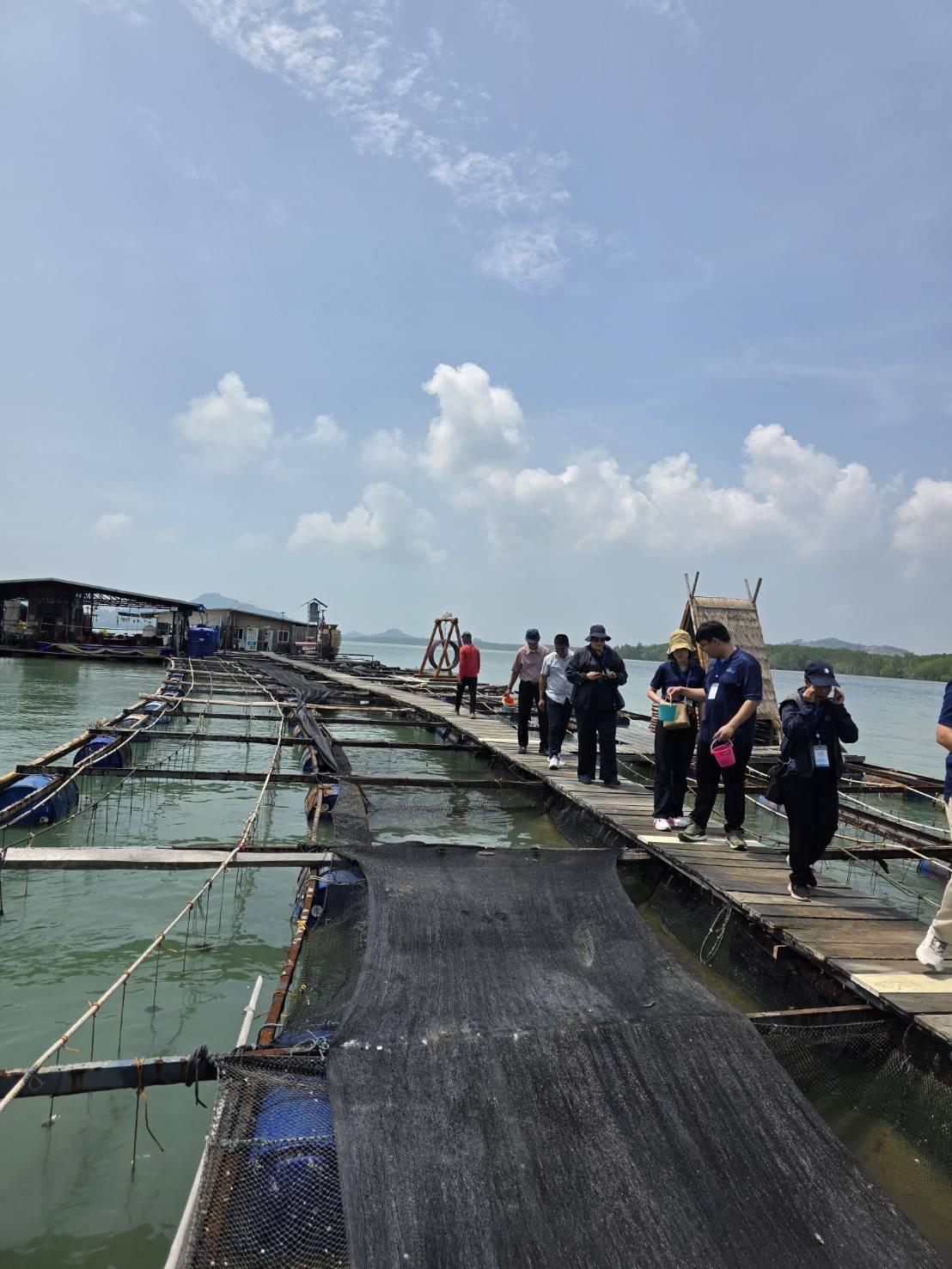 ภาพประกอบที่ 5