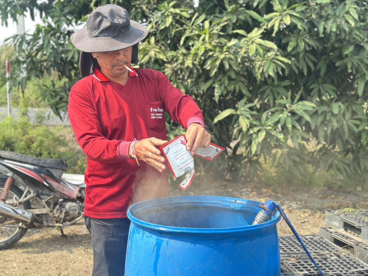 ภาพประกอบที่ 2