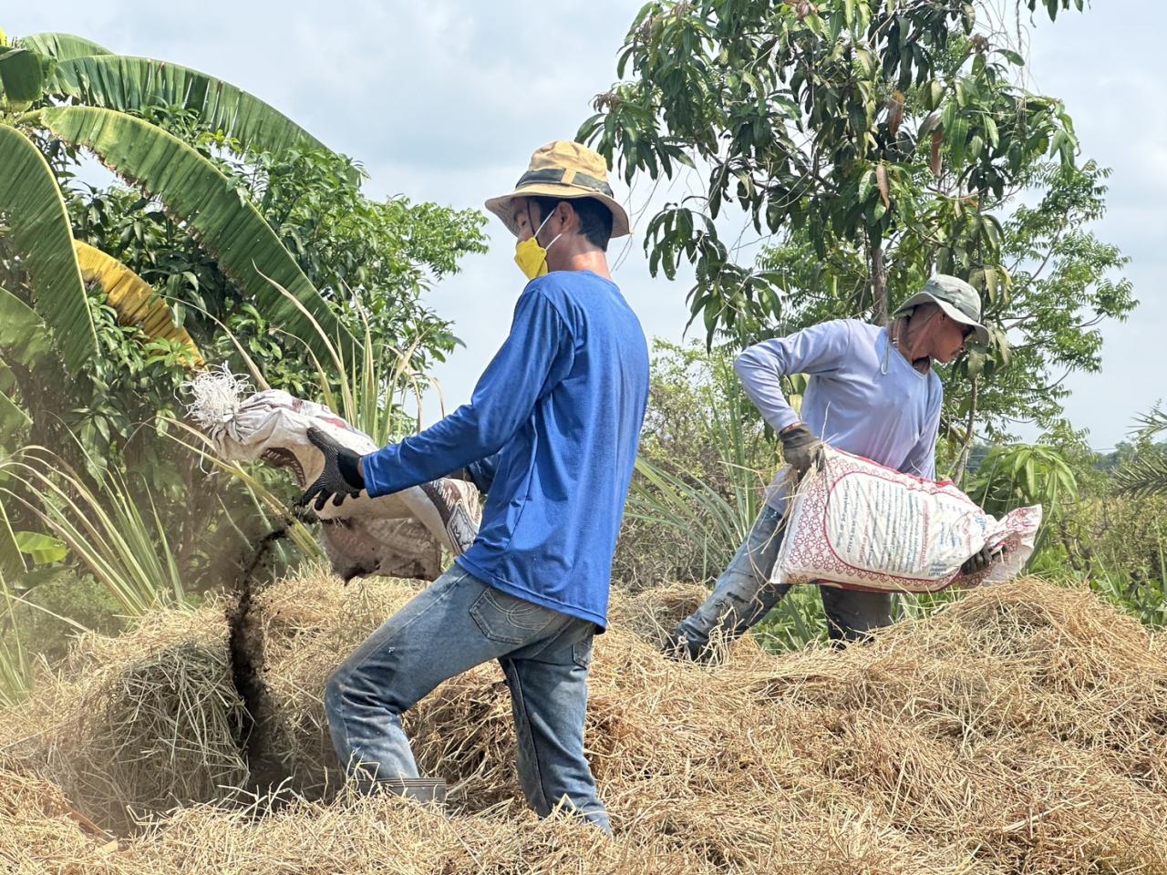 ภาพประกอบที่ 3
