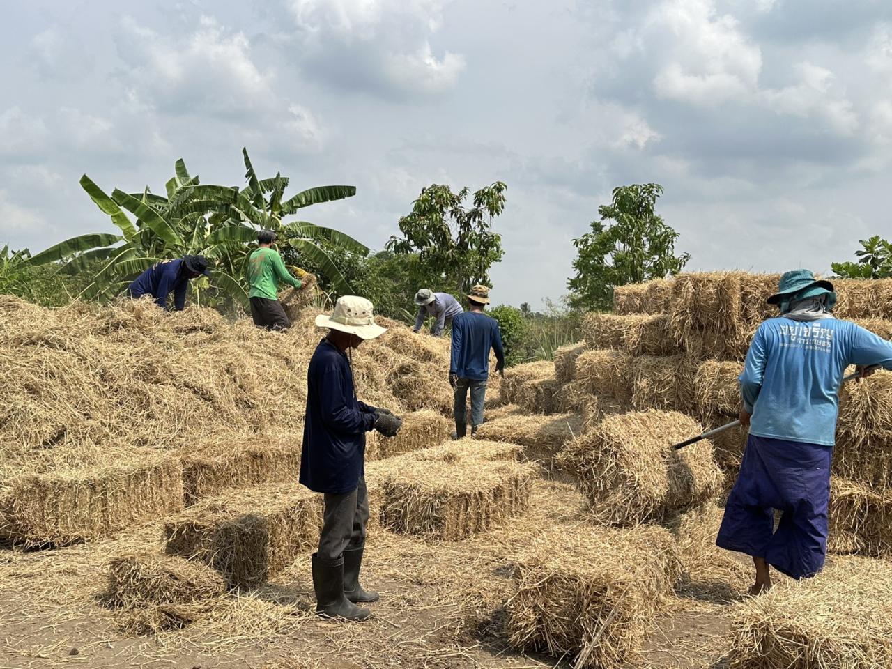 ภาพประกอบที่ 5