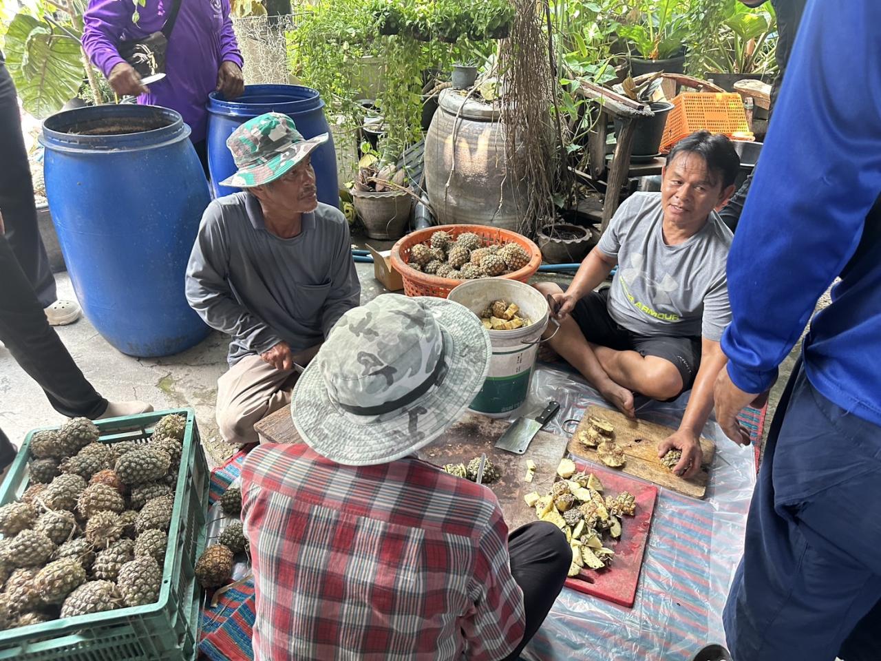 ภาพประกอบที่ 3