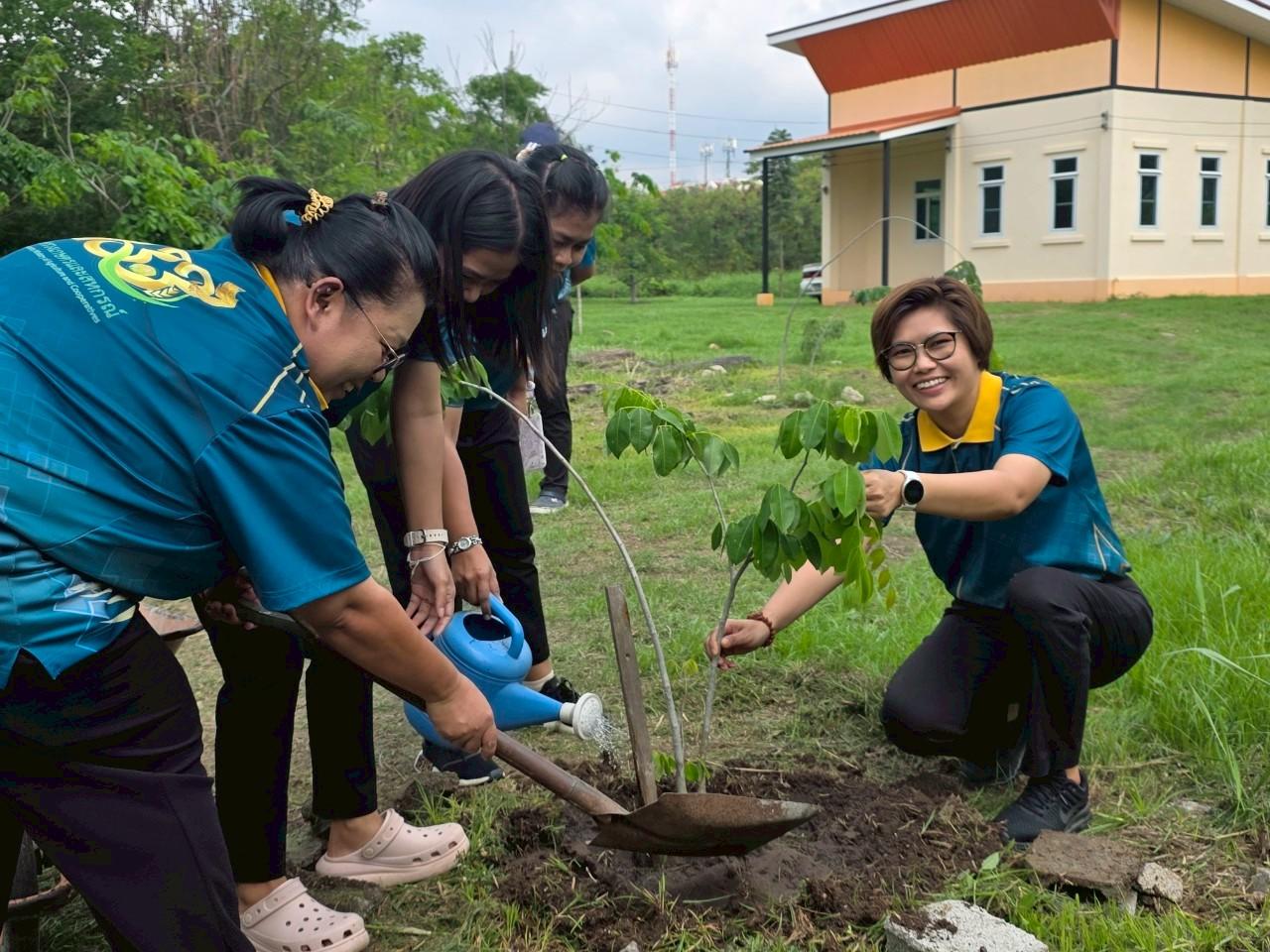 ภาพประกอบที่ 1