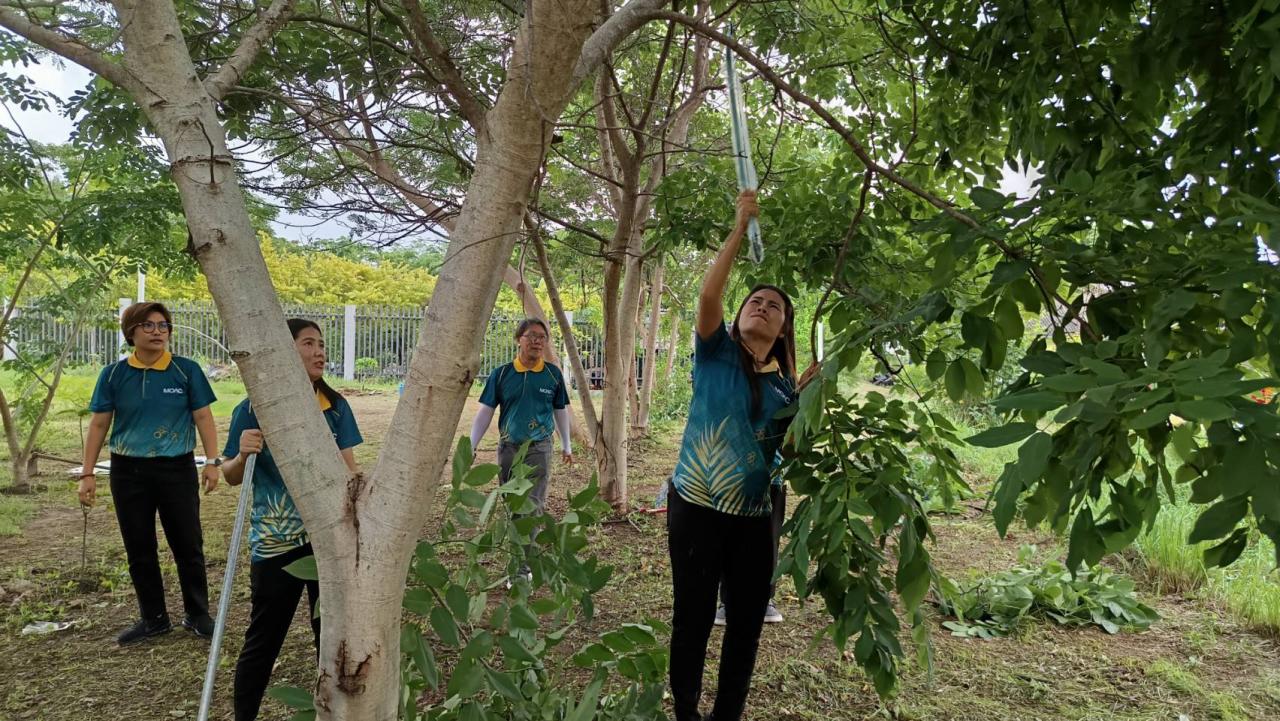 ภาพประกอบที่ 2