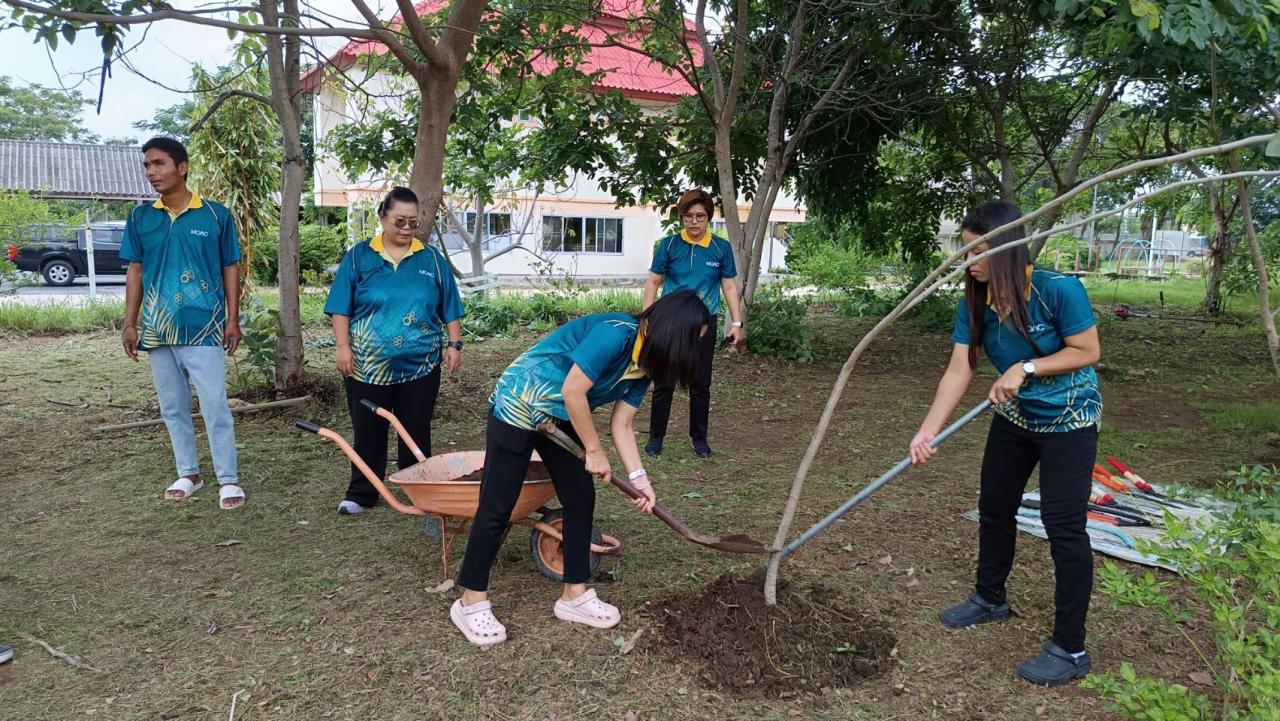 ภาพประกอบที่ 4
