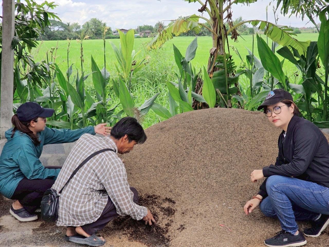 ภาพประกอบที่ 0