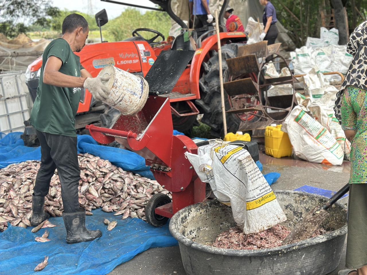 ภาพประกอบที่ 1