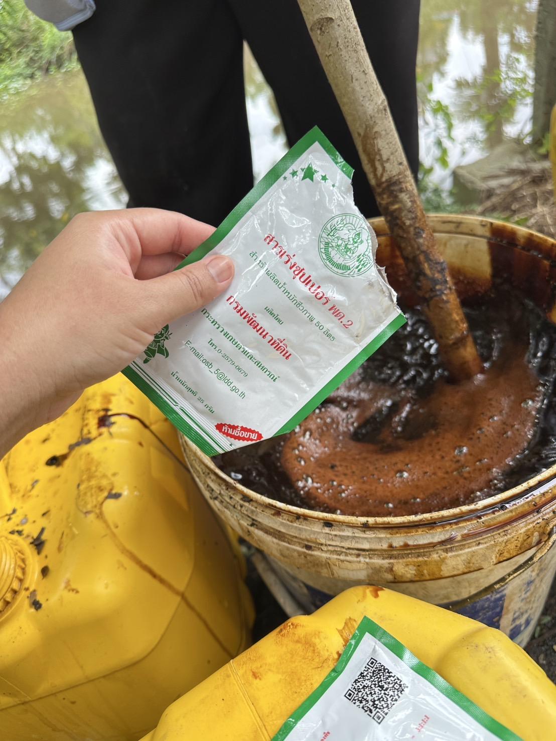 ภาพประกอบที่ 2