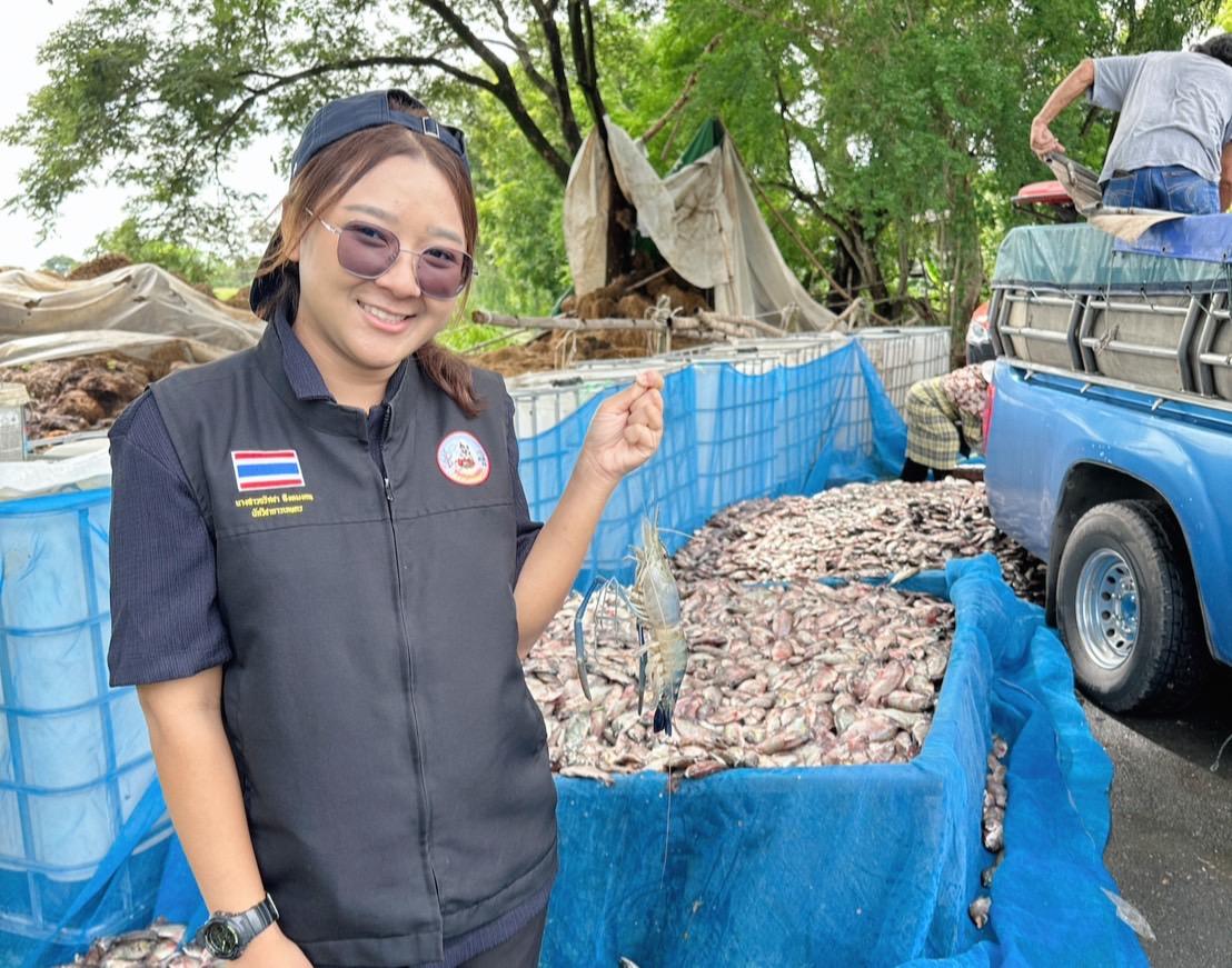 ภาพประกอบที่ 3